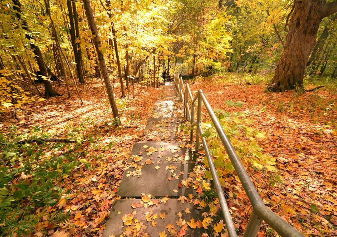 Toronto Bed & Breakfast - Free Parking Luaran gambar