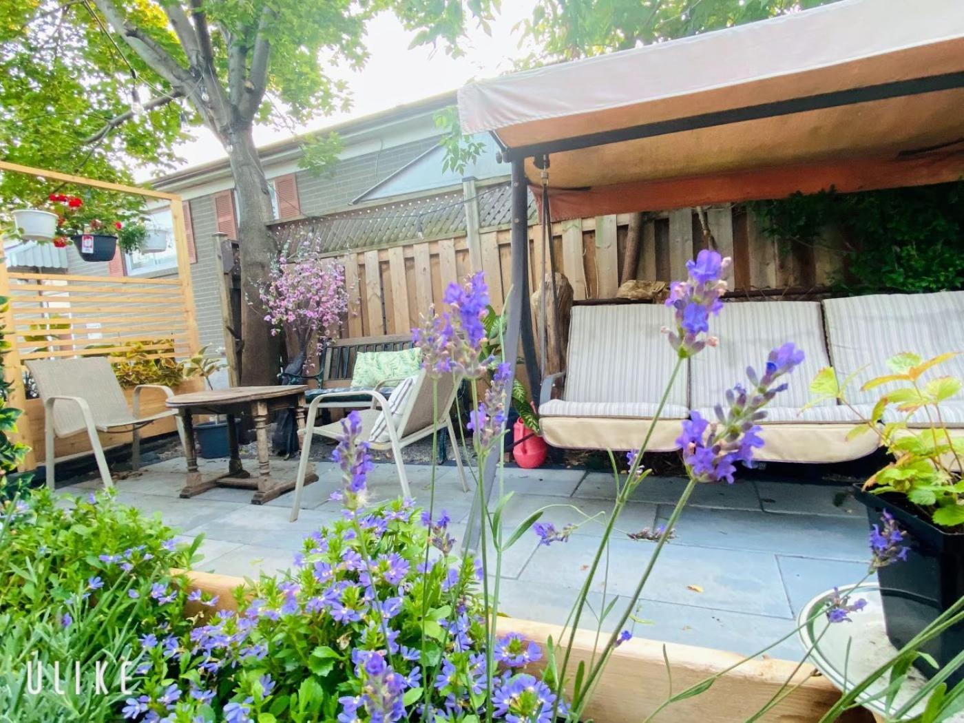 Toronto Bed & Breakfast - Free Parking Luaran gambar